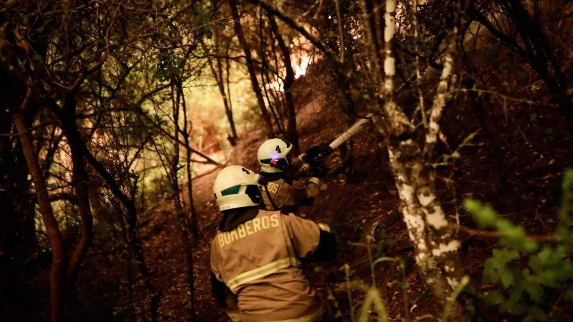 Ante incendios forestales, Chile pide ayuda a México y otros 4 países